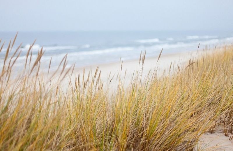 Die_Küste_Allgemein